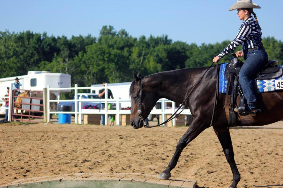 Horse in a trail class